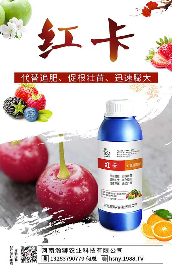 �����������ι�����������������Լ��gҪ�c