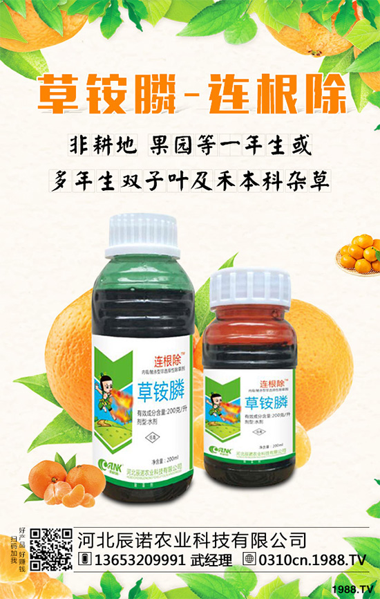 ������݄��a(ch��n)Ʒ�P�c����ǰƪ