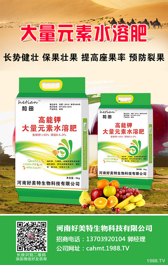 ��(x��)���[��ηNֲ���ܸ߮a(ch��n)����Ҫע��ʲô���@�傀(g��)С���ɷ���һ����