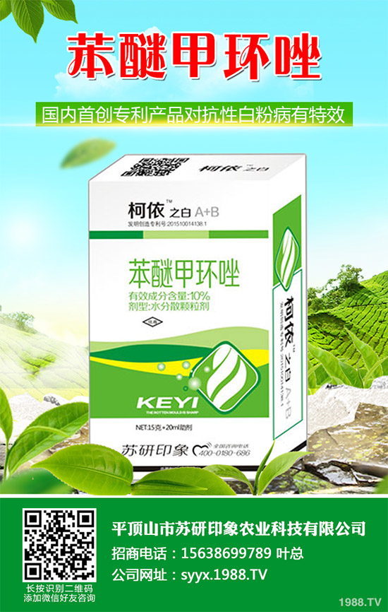     ��ذl(f��)�F(xi��n)���Ծ�������(y��ng)���赾��������뿾����Ŀ�ˎ�Ԇ��}