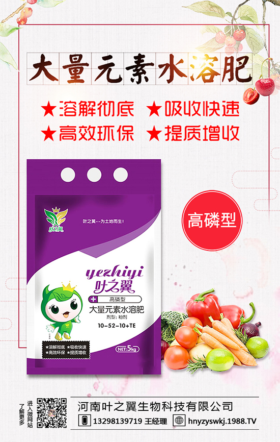 �������L��(x��)������Щ�����ɵ����g����Ҫ�c(di��n)��