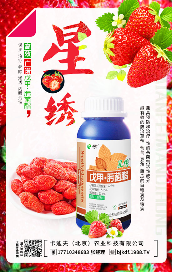 ����Ҫ��Ҫ���������������_��֦�������