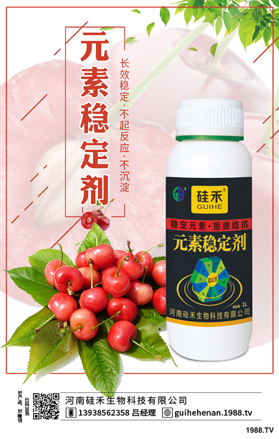 ��ˎԓ��ô�Nֲ����ˎ�Nֲ�İ˴��E�����������