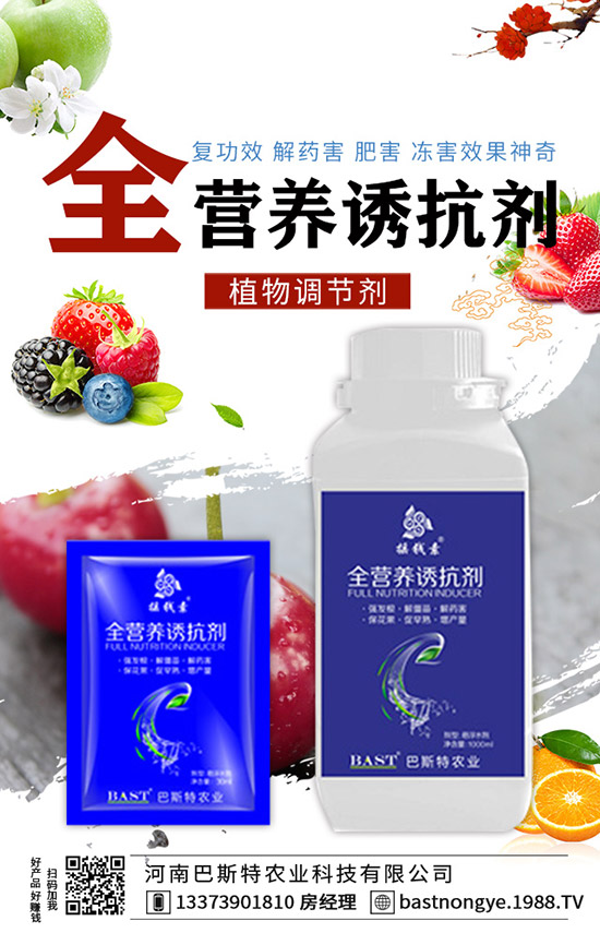 �Y(ji��)����{(l��n)��ôʩ�����Y(ji��)����{(l��n)��ʩ�ʼ��g(sh��)��