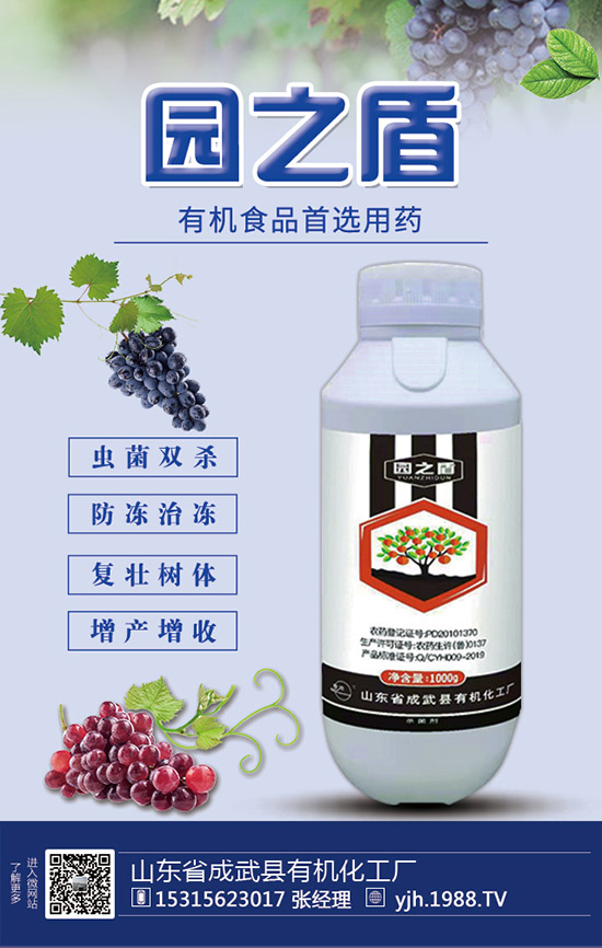 �J�S���ʩ�����J�S��ʲô���Ϻ����J�S������c��ע�������