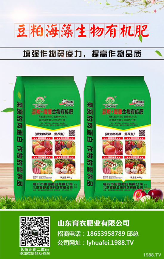 ��z�ʾ�ԓ������磿�����������z�ʾո߮a(ch��n)�������