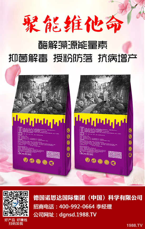 �ܱ��Ϲ���ô�Nֲ���ܱ��Ϲϵ����༼�g(sh��)Ҫ�c(di��n)�c������