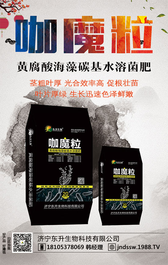 С����ʲô�g�Nֲ�r��С���۷Nֲ����Ҫ�c��