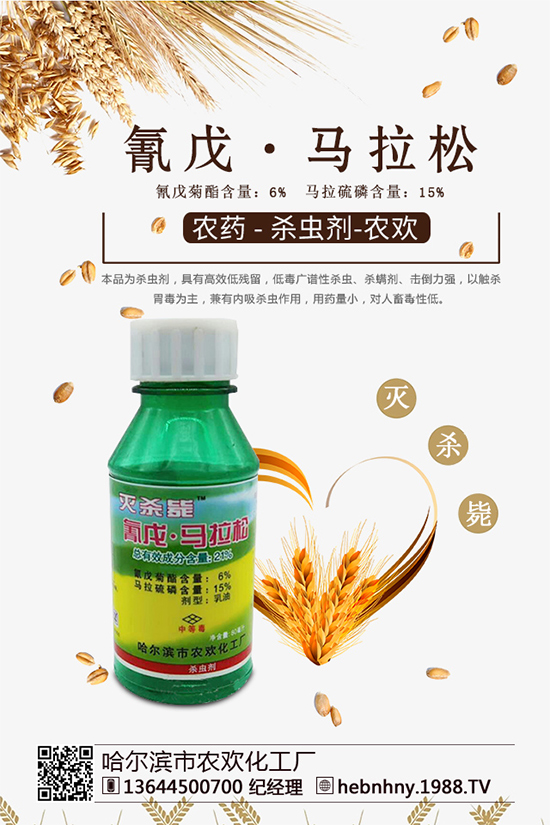 �x���߷��ڡ������xຸ�Ч���x�����Դ���գ�