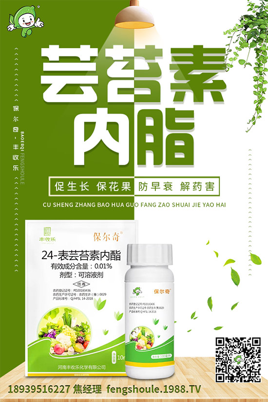 �������ô�޽�����ϼ޽Ӹ߮a(ch��n)�Nֲ���g(sh��)��