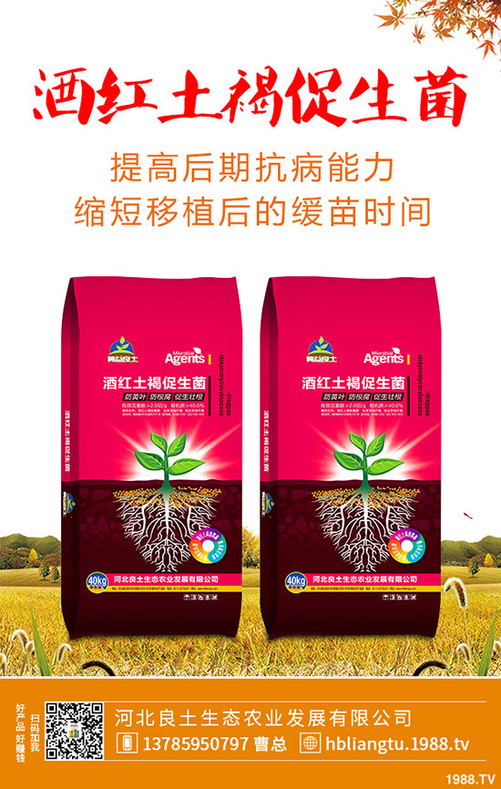 �{��ʲô�r(sh��)��Nֲ�^�����{�˵ķNֲ���g(sh��)�c���g����