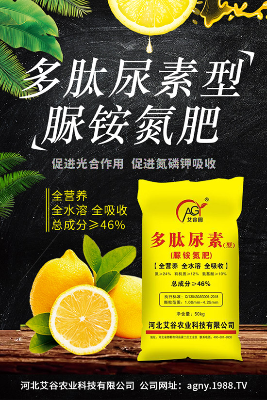 �ļ����NֲҪ�c���ļ������缼�g�����ڹ���