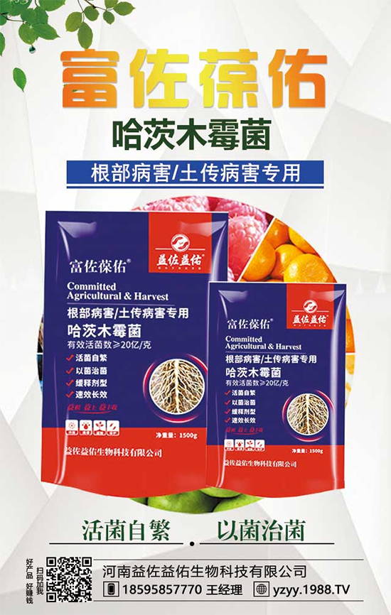 ���^����ʲô�I�B(y��ng)�rֵ�������^��ʲô��̎��