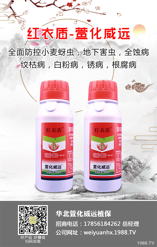     �𻨿��ֽв�ܽ����Ұܽ�صȵȣ���һ�N��ˎ����ʳ�Þ�һ�w����������Ѫ���(zh��n)ʹ�ȸ��N��Ч�Ĳݱ�ֲ���Ҫ����ˮ�[��������I�B(y��ng)�r(ji��)ֵҲ�Ƿǳ��S���������҇��ǳ��ܚgӭ����ô���𻨿�ԓ������������𻨿��߮a(ch��n)���༼�g(sh��)����Щ��