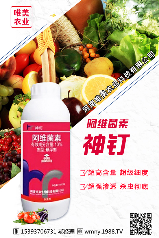 ���[������Ʒ�N����Щ���Nֲ���[���h(hu��n)���l����Ҫ��