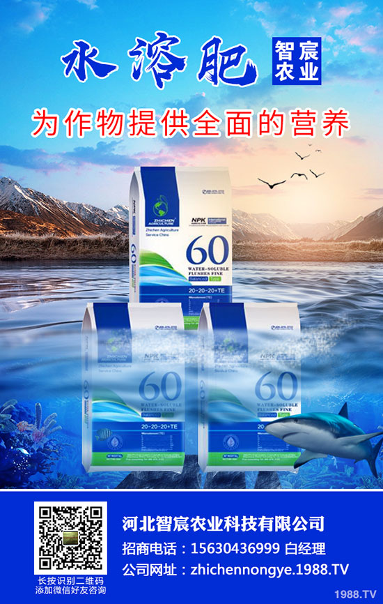 2020���؃r(ji��)��Ҫ�ϝq���������������߄�(sh��)������