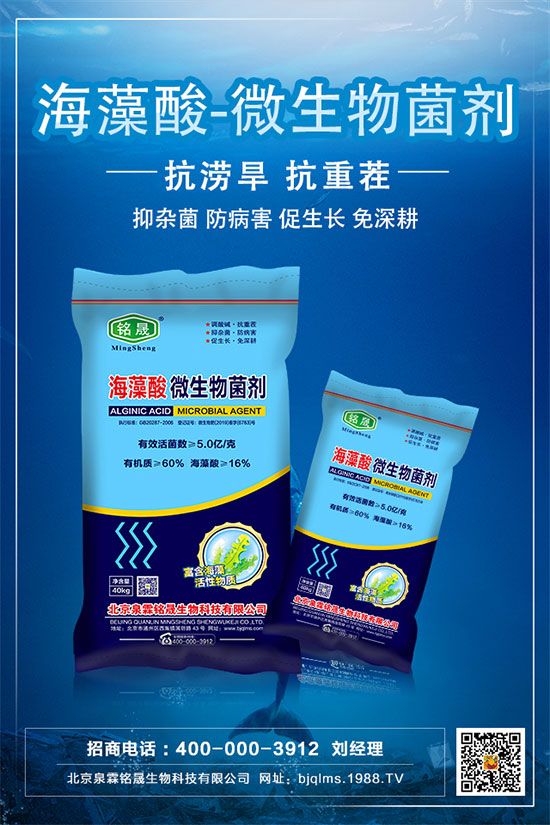     ����ֻ�_�����Y(ji��)����ʲôԭ�򣿰���������Ľ�Q��ʩ��