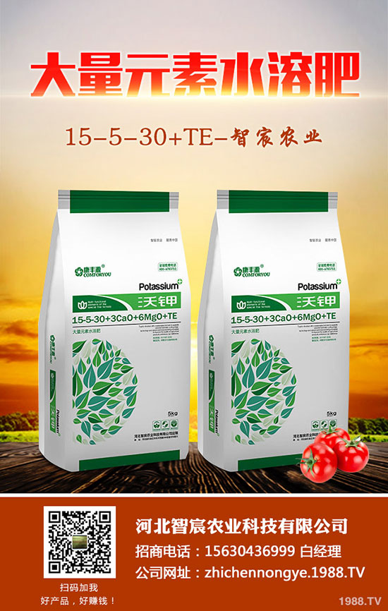 ����F��ô�B(y��ng)������F���B(y��ng)ֳ������ע�����