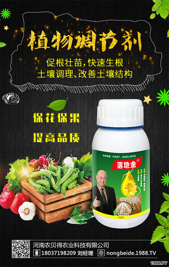 �����~Ƭ�l(f��)����ʲôԭ���������B(y��ng)ֳע��Ҫ�c��