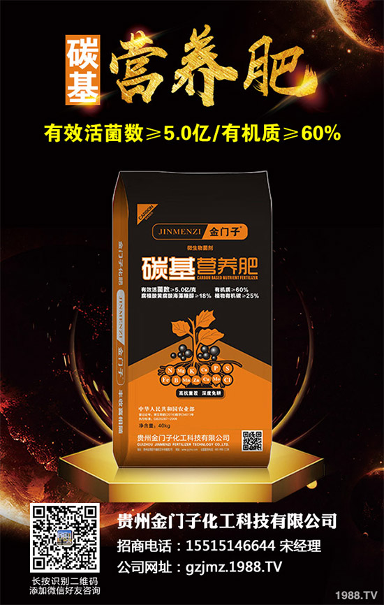 ��(gu��)��(n��i)⛷ʃr(ji��)�������߄�(sh��)