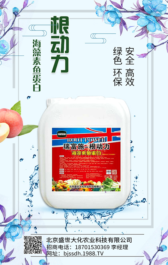 ��֦���L(zh��ng)�h(hu��n)��Ҫ����֦��޽ӷ�����ʩ��ԭ�t��