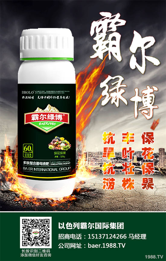 ������ʲô�r(sh��)�򲥷N��2020���������粥�����ă�(y��u)ȱ�c(di��n)����