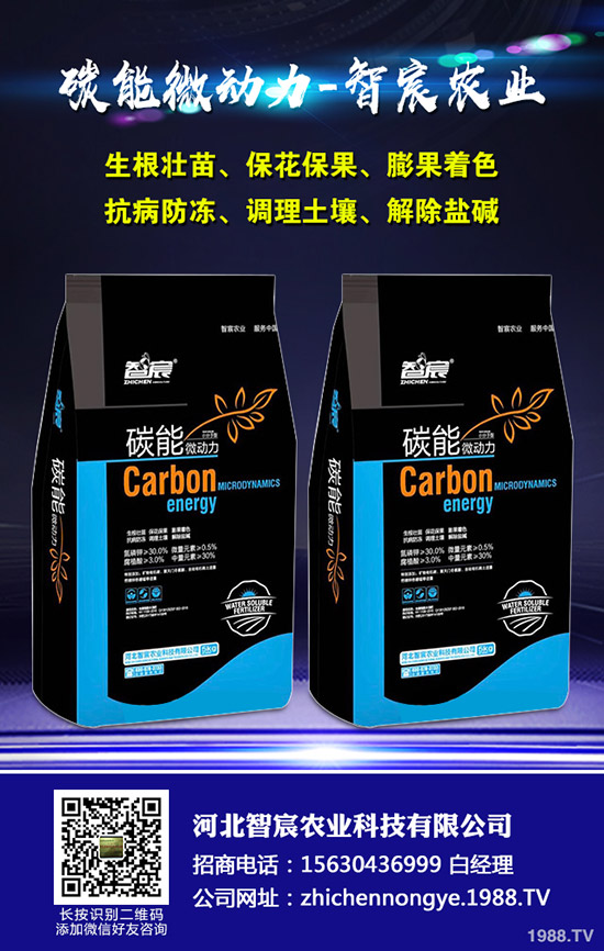 ���ϵ��������������ʩ���Ľ�����