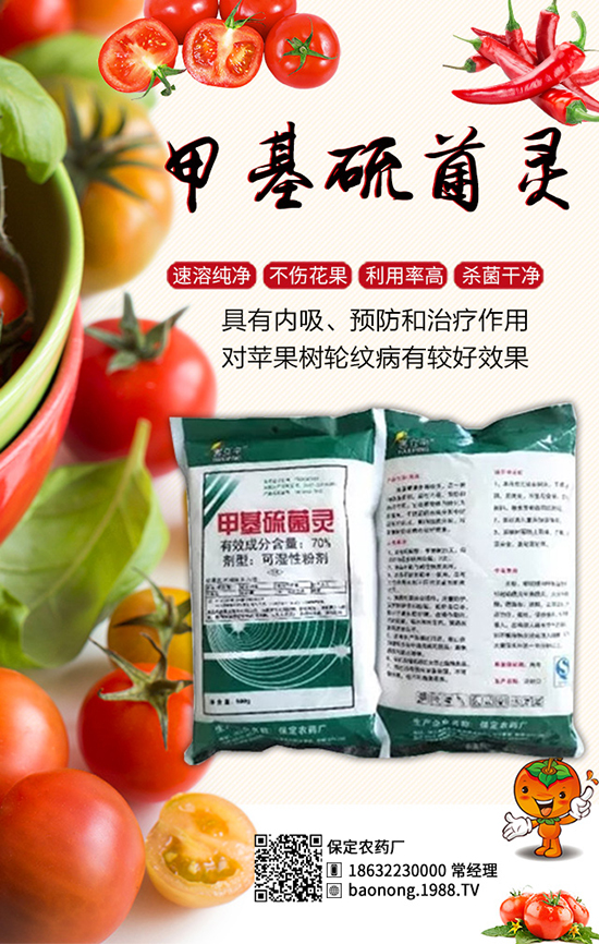 ������������أ���Ч����â���ǰ��������u���