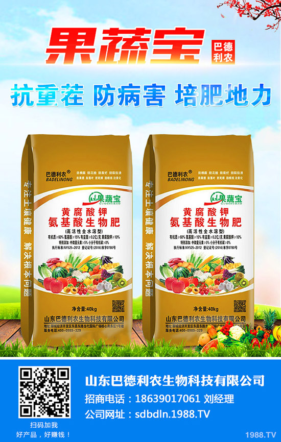     �½�ʲô�r�g���N���^�ã��޻��粥��������̎��ȱ�c����Щ��