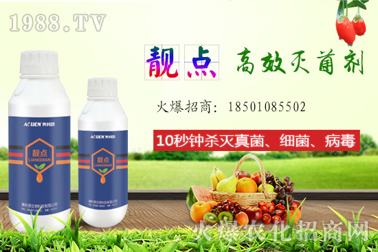 ����Ƭ��ʲô�������ԙ�����ʲô��̎��