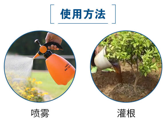 ��ľ����-(li��n)��μ�_05