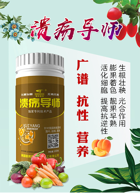 ������(d��o)��-(li��n)��μ�_01