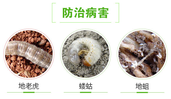 �ݲ�ѿ�ߗU��-�����K�Y(ji��)-(li��n)��μ�_04