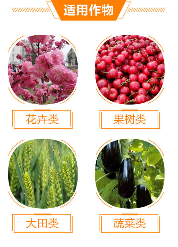 Goofuoˮ�ܷ�19-19-19+TE_04