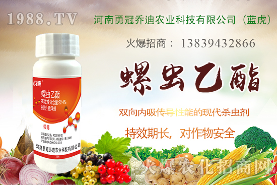 ���׽���x(ch��ng)