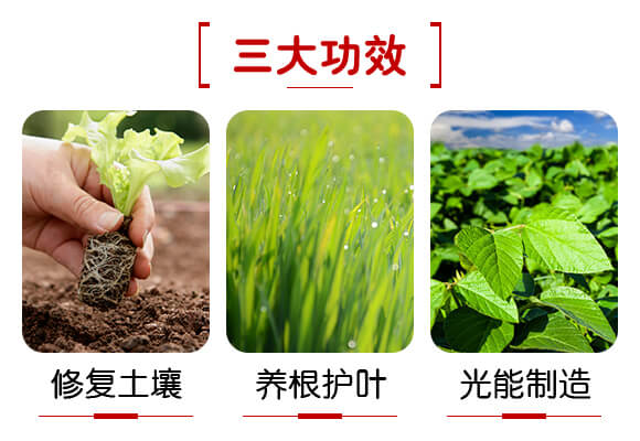 �V���������B(t��i)�Ƽ����޹�˾�a(ch��n)ƷԔ���(y��)1_03