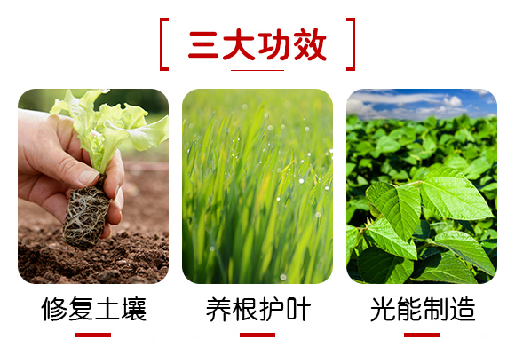 �V���������B(t��i)�Ƽ����޹�˾�a(ch��n)ƷԔ���2_04