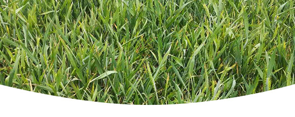 �r(n��ng)��ڈ@���＼�g���޹�˾_16