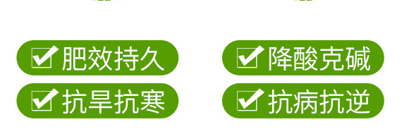 �r(n��ng)��ڈ@���＼�g���޹�˾_09