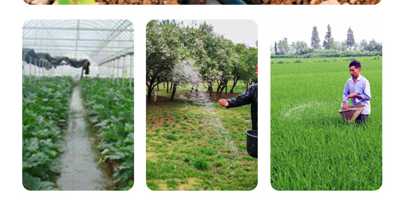 �r(n��ng)��ڈ@���＼�g���޹�˾_19