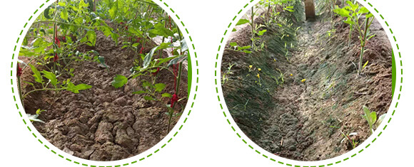 �r(n��ng)��ڈ@���＼�g���޹�˾_08