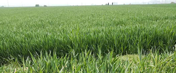 �r(n��ng)��ڈ@���＼�g���޹�˾_15