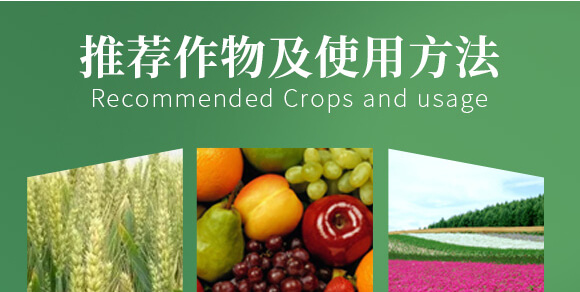 �r(n��ng)��ڈ@���＼�g(sh��)���޹�˾2_08