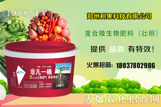 2020��Nֲ����ٍ�X�᣿�Nֲǰ�����������һ���خa(ch��n)���ж�����