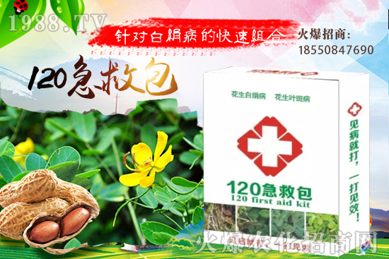 �ȹ����緽������Щ���ȹ���ô���Զ�ֲ��