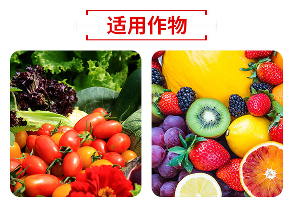 ɽ�|������W(w��ng)(li��n)�䷽�����޹�˾�a(ch��n)ƷԔ���1_05