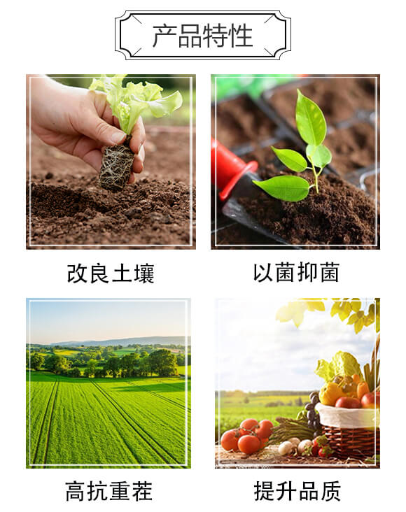 ������(f��)�Ϸ�-���r(n��ng)�ʘI(y��)_03