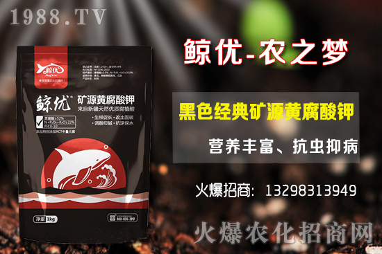 �����ķNֲ�ܶ���������Ʒ�N�x�񼰷Nֲ������