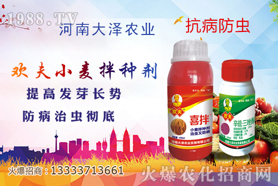 С����N����Ҋ��������Щ������x��С����N����