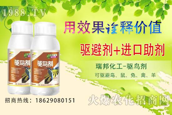 �ļ����@�B�������·������������������@�(q��)�B���ԣ�